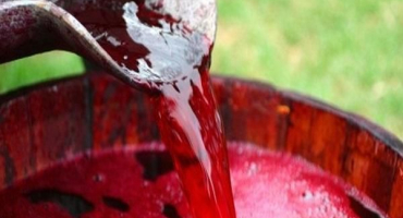 Kolik vína kvasí doma, načasování a vlastnosti procesu